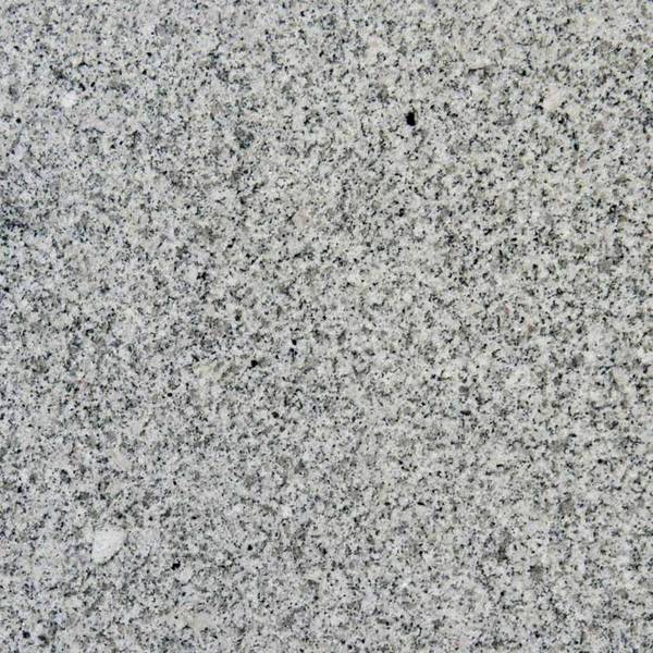 Trend Watch for 2020: Speckled