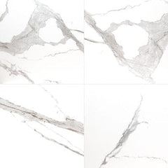 Eden Porcelain Tile Collection Statuary - 24"x24" - Matte