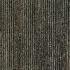 Paramount Tile Fossil Bruno Semi-Polished 12" x 24"