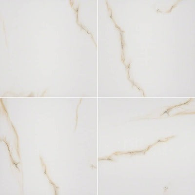 Aria Porcelain Tile Collection Bianco - 24"x24" - FloorLife