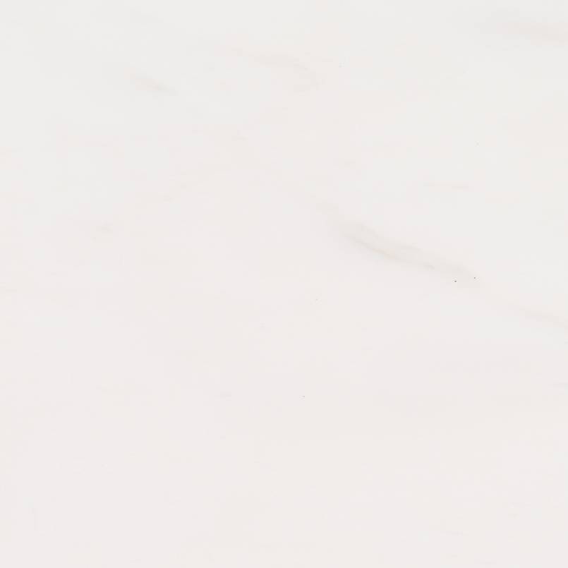 Marble Tile Collection Bianco Dolomite 12"x24" - FloorLife