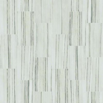 Shaw Tile Range Zebrino 12x24 Polish