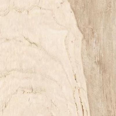 Paramount Tile Backwoods Country Oak 6"x 36"