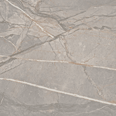 Paramount Tile Amaranto Grey Matte 24" x 48"