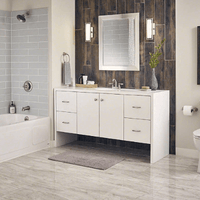 MSI Palmetto Collection