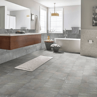 MSI Porcelain Cemento