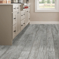 Shaw Tile Santa Fe Coyote