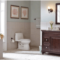 MSI Focus Collection