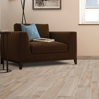 MSI Porcelain Salvage