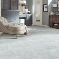 Shaw Tile Arena Silver