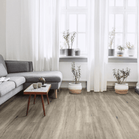 MSI Antoni Collection