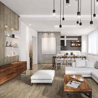 MSI Catalina Collection