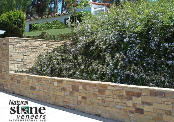 TRADITIONAL SHADY CANYON Scene