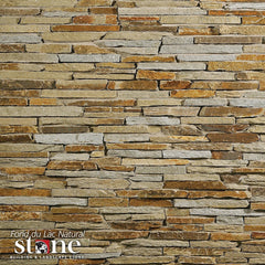 LEDGESTONE VIRGINIA LEDGESTONE Swatch
