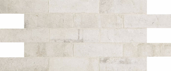 Daltile Brickwork Studio BW01 2"x8"Swatch 2