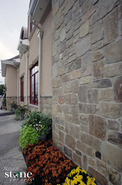 BILTMORE CAMELBACK CORNER Scene 2