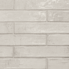 MSI Stella Rhino Tile Glossy 2"x10"