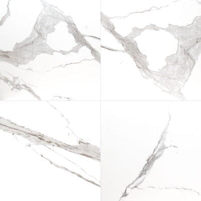 Eden Porcelain Tile Collection Statuary - 24"x24" - Matte