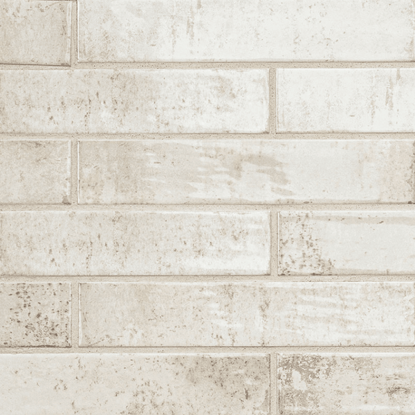 MSI Stella Biscotti Tile Glossy 2"x10"