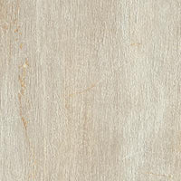 Paramount Porcelain Fossil Crema