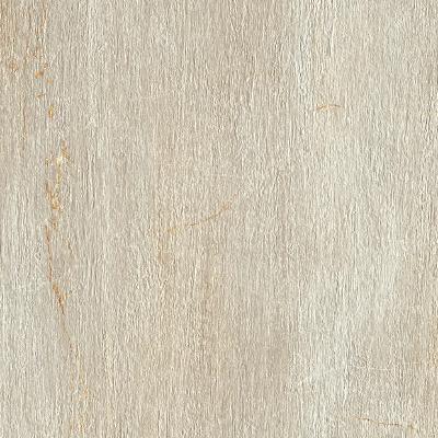 Paramount Tile Fossil Crema Matte 12" x 24"