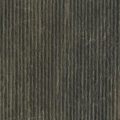 Paramount Tile Fossil Bruno Matte 12" x 24"