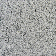Granite Tile Collection Bianco Catalina - 12"x12" - FloorLife
