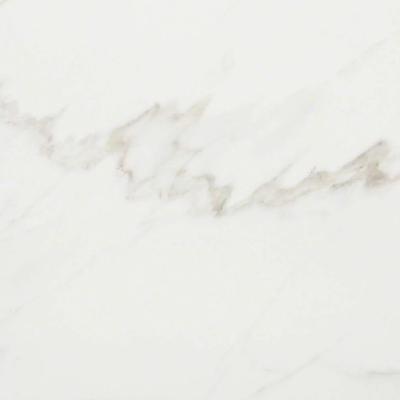 Shaw Tile Maximus Calacatta 12"x24"