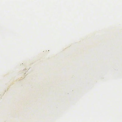 Shaw Tile Maximus Calacatta Wall Tile 3"x6"