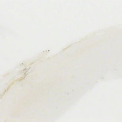 Shaw Tile Maximus Calacatta Wall Tile 3"x6"