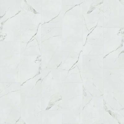 Shaw Tile Range Statuario 12x24 Matte