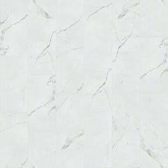 Shaw Tile Range Statuario 12x24 Matte