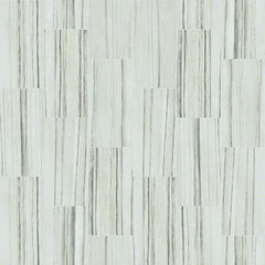 Shaw Tile Range Zebrino 12x24 Polish