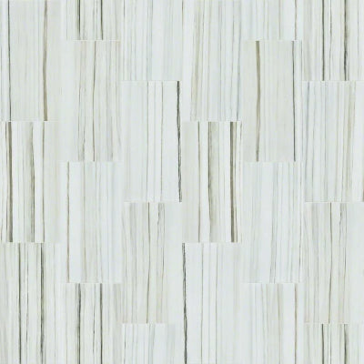 Shaw Tile Casino Zebrino Polished 4x12