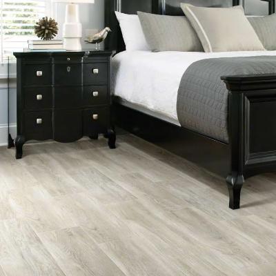 Shaw Tile Valentino Camera 8x32