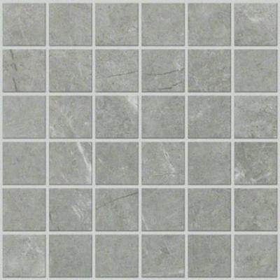 Shaw Tile Visionary Refuge Mosaic 12"x12"