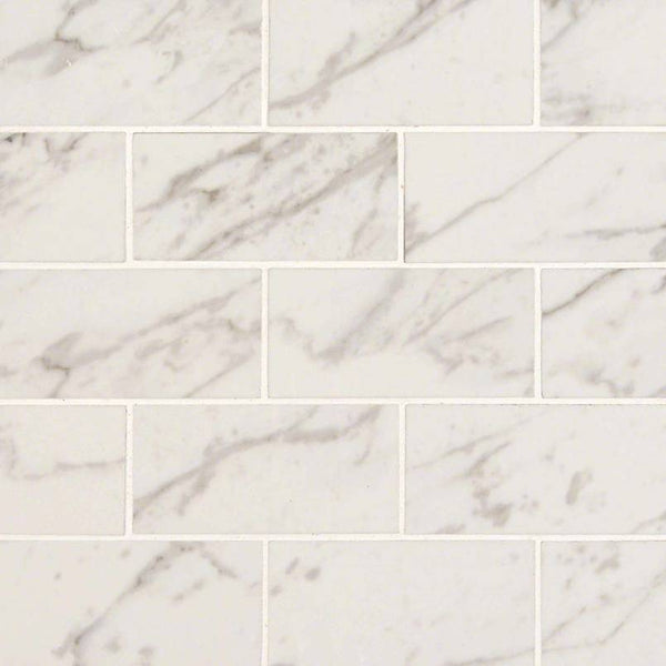 Pietra Porcelain Collection Carrara - 2"x4" - FloorLife