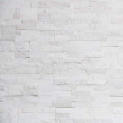 Realstone Systems Gilded Frost Ledgestone Panel 6"x24"