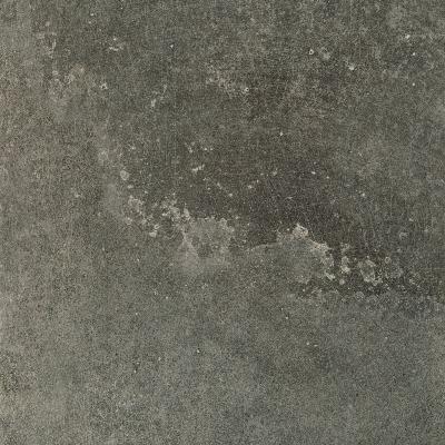 Paramount Tile Molo Audace Bocca Di Lupo 8" x 16"