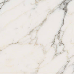 Marble Tile Collection Statuary Venato 12"x24" - FloorLife