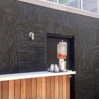 Realstone Systems Thinstone Midnight Sky Shadow Natural Panel 6"x24"