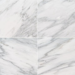 Marble Tile Collection Arabescato Carrara 12"x12" - Honed