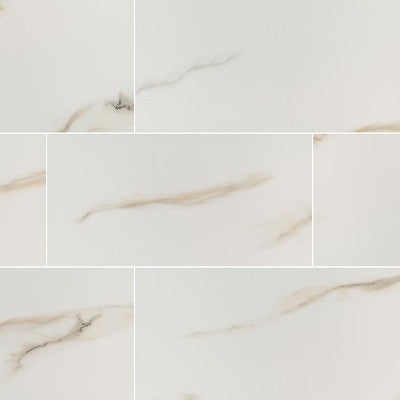 Aria Porcelain Tile Collection Bianco - 24"x48"
