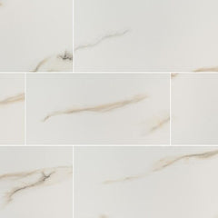 Aria Porcelain Tile Collection Bianco - 24"x48"