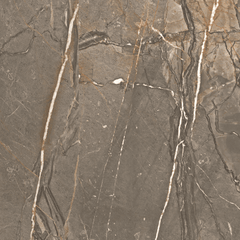 Paramount Tile Amaranto Brown Satin 24" x 48"