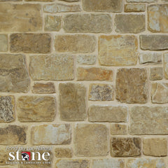 BILTMORE CAMELBACK Swatch