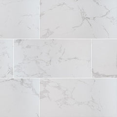 Praia Porcelain Tile Collection Carrara - 24"x48"