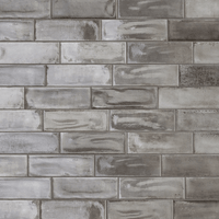 Paramount Tile Fuoritono Grigio
