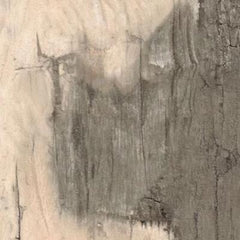 Paramount Tile Backwoods Kentucky Bourbon 6"x 36"