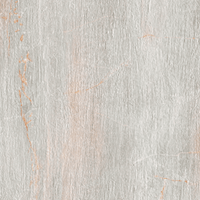 Paramount Porcelain Fossil Perla